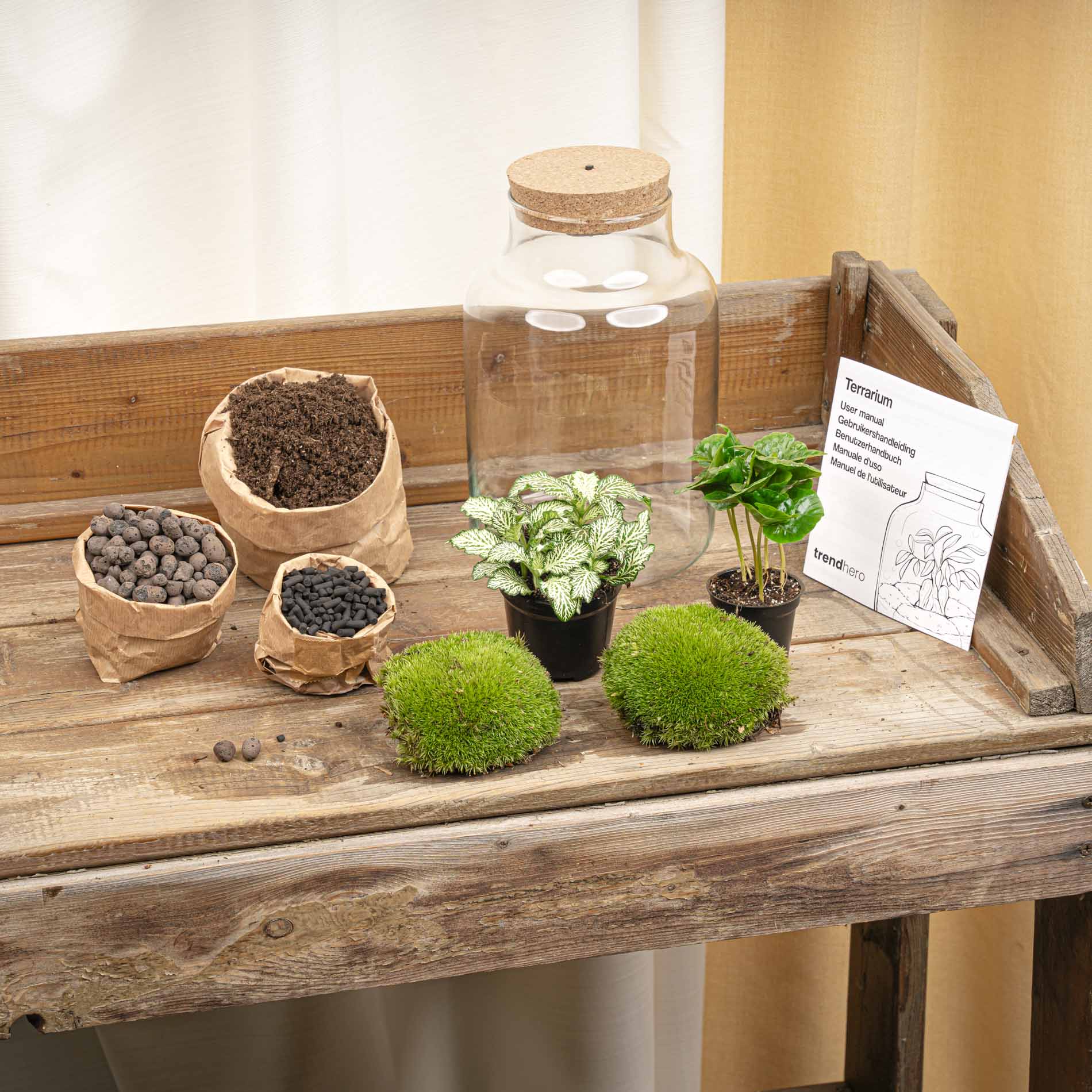 Terrarium Diy Kit - Little Milky + Led Light - ↑ 25 Cm