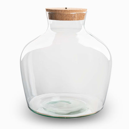 Terrarium With Cork - Fat Joe + Led Cork - Closed Terrarium ↑ 30 Cm