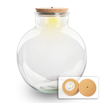 Terrarium Bottle With Led Cork - Bolder Bob - ↑ 30 Cm