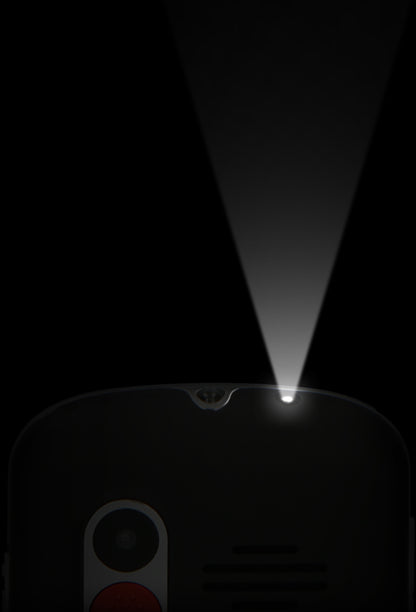Fysic F10 Fysic Big Button Gsm 4G Black