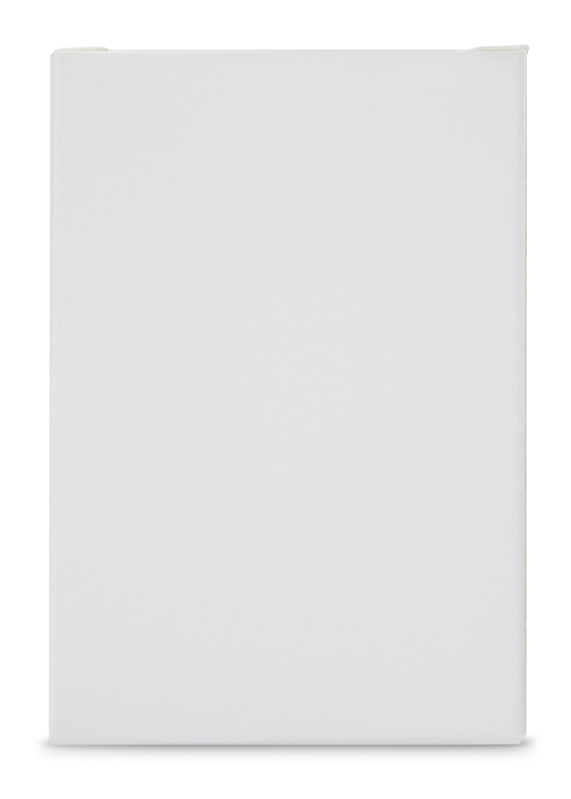 Fysic F10 Accu