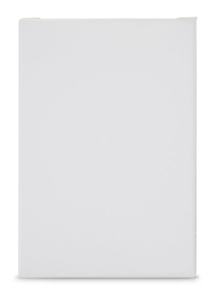 Fysic F10 Accu